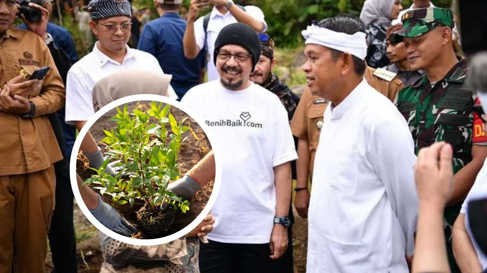 Jaga Hutan Jabar, Warga Berpeluang Digaji Rp50 Ribu Per Hari dari Program KDM!